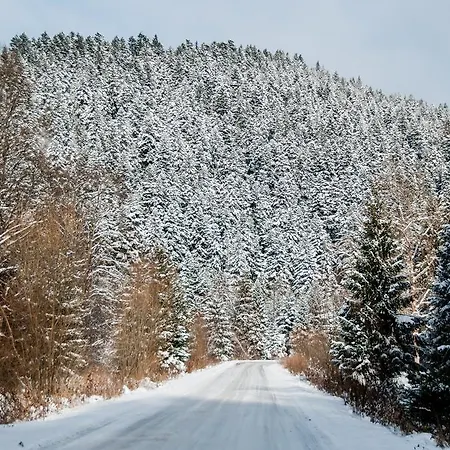 公寓 Maja 泰里克兹