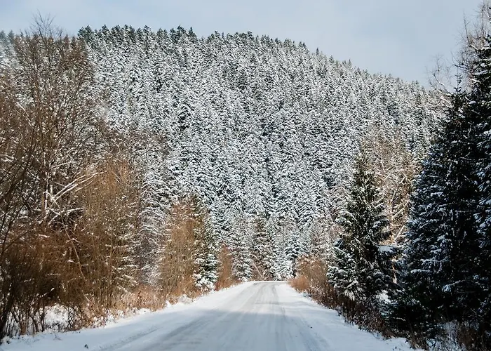 Apartamento Maja Tylicz